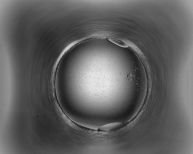 X0000086251248200704051234