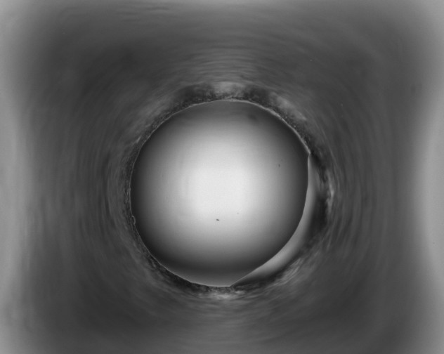 X0000086251249200704051233