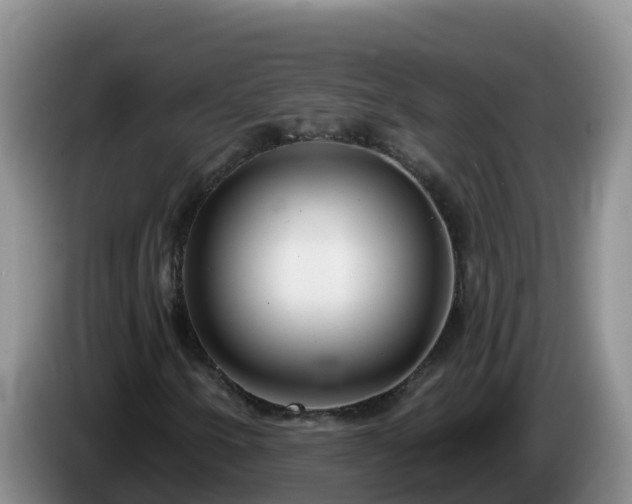 X0000086251250200704051233
