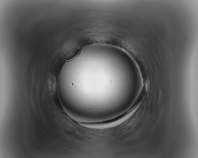 X0000086251251200704051233