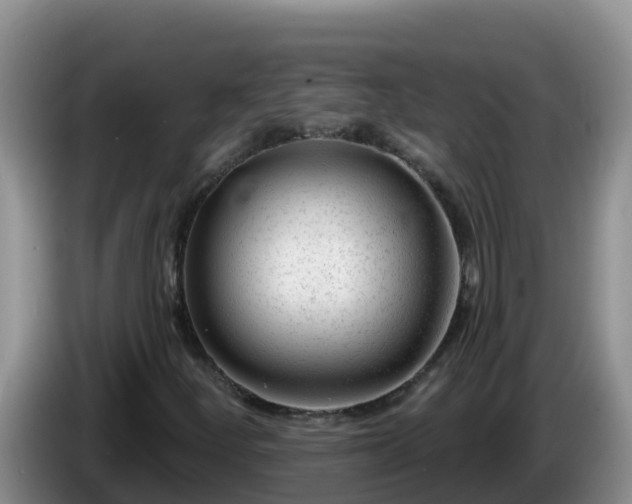 X0000086251252200704051233