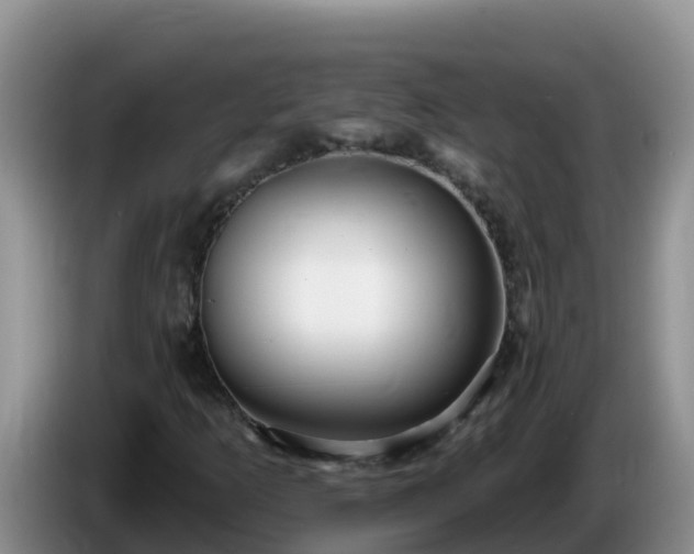 X0000086251253200704051233