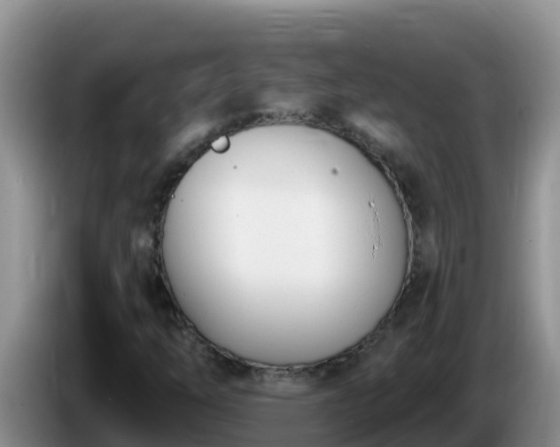 X0000086251254200704051233