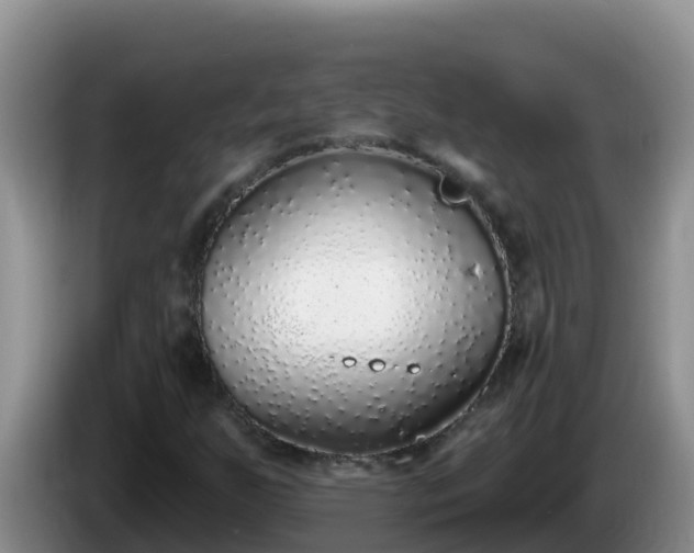 X0000086251255200704051233