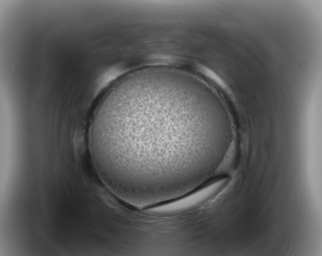 X0000086251259200704051233