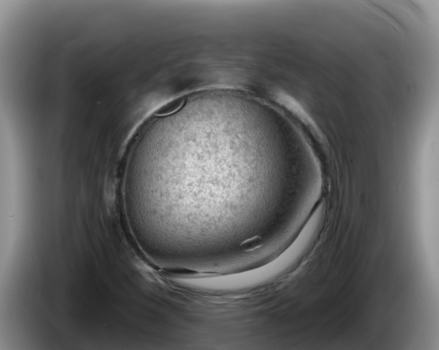 X0000086251260200704051233