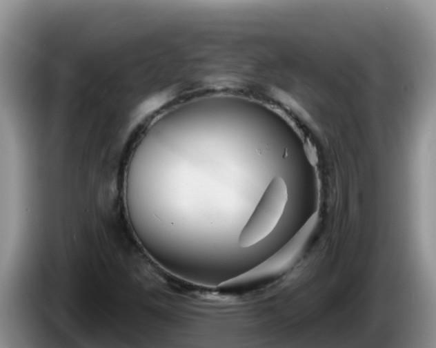 X0000086251261200704051233