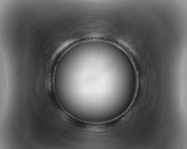 X0000086251262200704051233