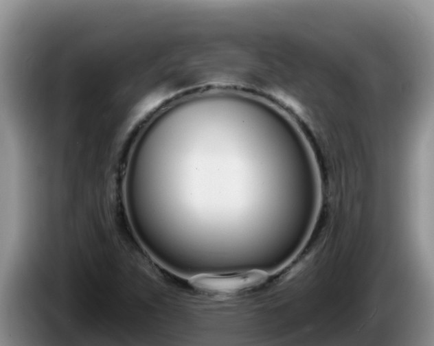 X0000086251263200704051233