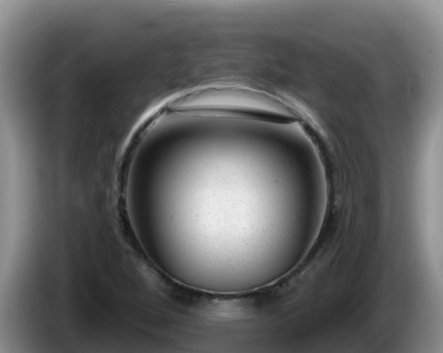 X0000086251264200704051233