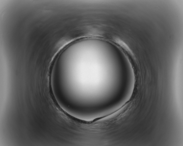 X0000086251268200704051233