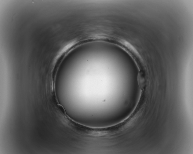 X0000086251269200704051233