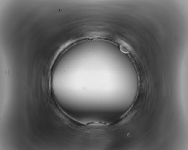 X0000086251275200704051233