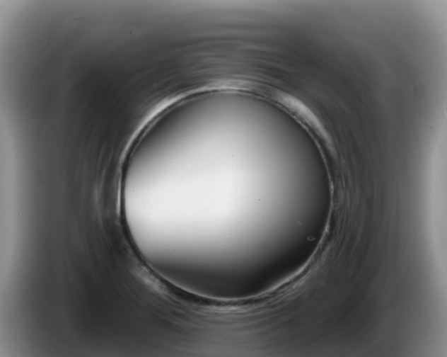 X0000086251276200704051233