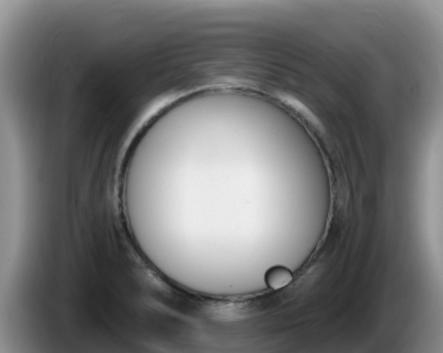 X0000086251278200704051233