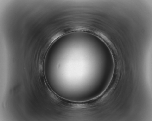 X0000086251281200704051233