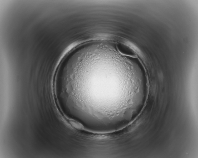 X0000086251283200704051232