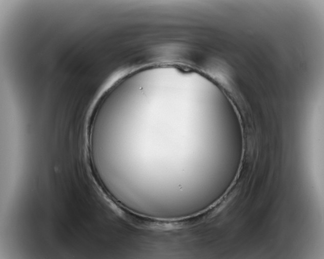X0000086251286200704051232