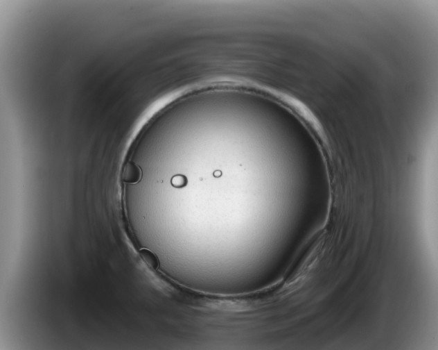 X0000086251287200704051232