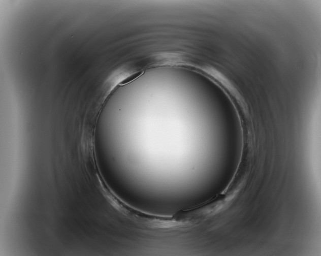 X0000086251289200704051232