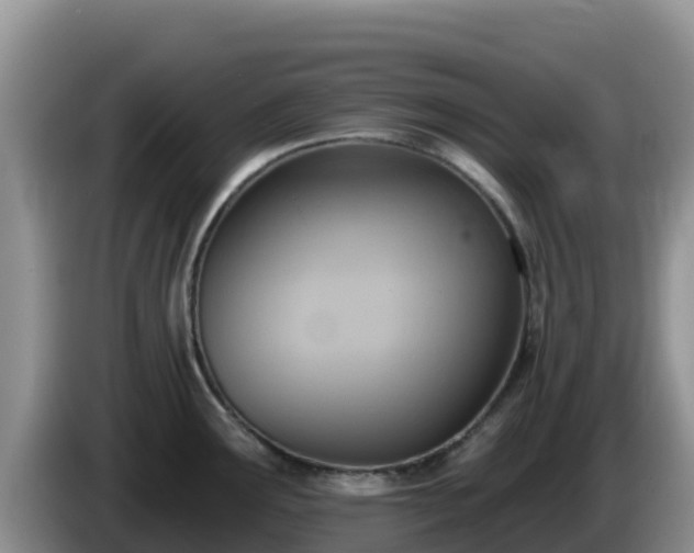 X0000086251291200704051232