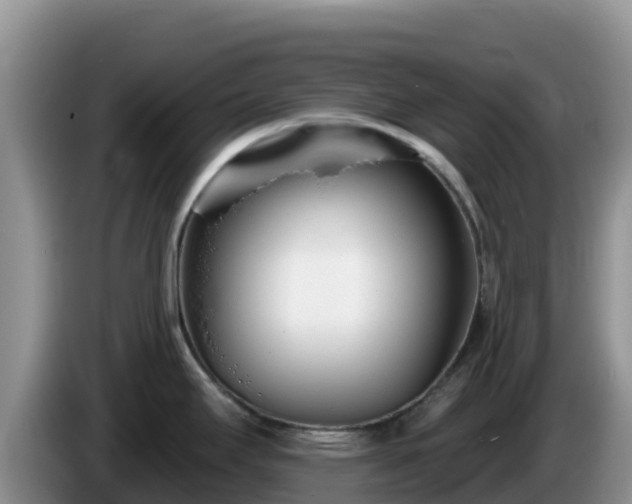 X0000086251295200704051232
