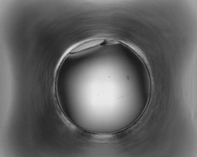 X0000086251296200704051232