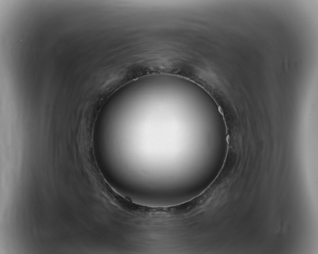 X0000086251297200704051232
