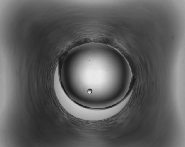 X0000086251298200704051232