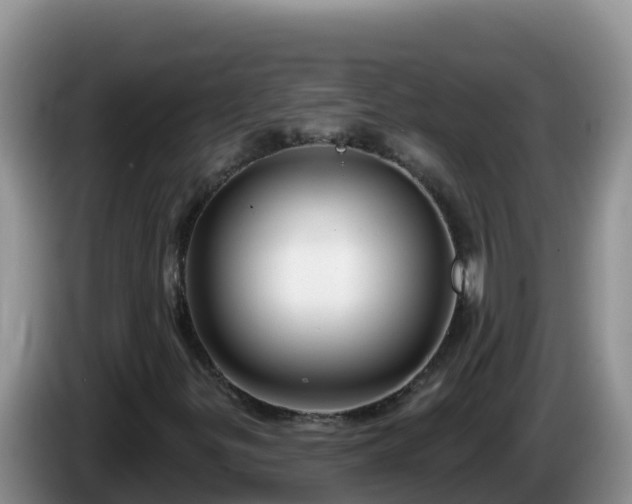 X0000086251299200704051232