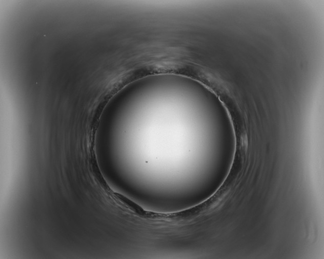X0000086251300200704051232