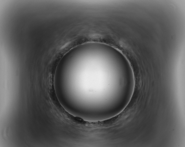 X0000086251301200704051232