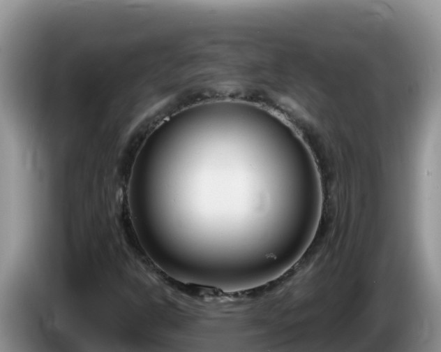 X0000086251302200704051232