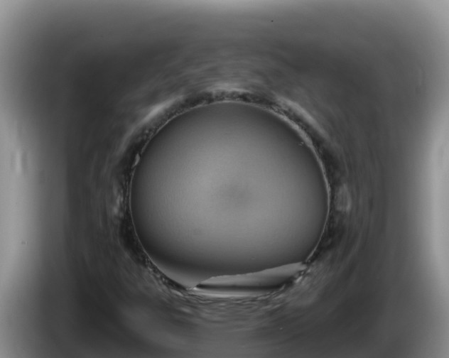 X0000086251303200704051232