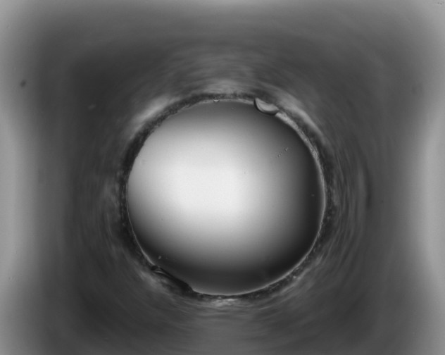 X0000086251304200704051232