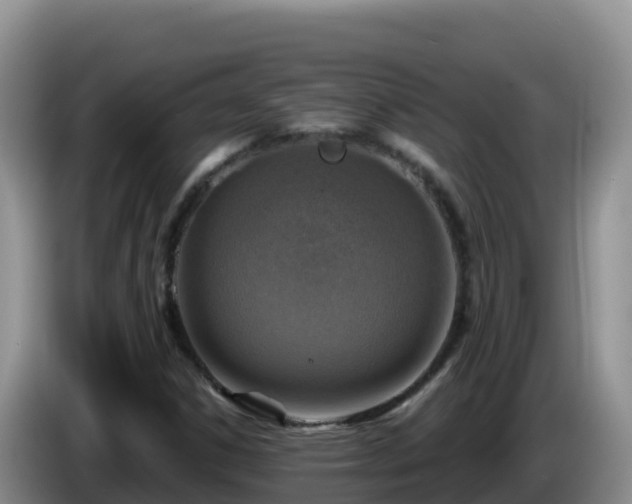 X0000086251306200704051232