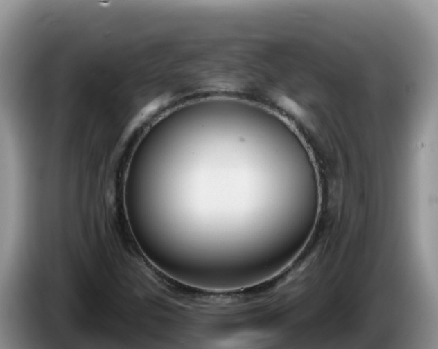 X0000086251307200704051232