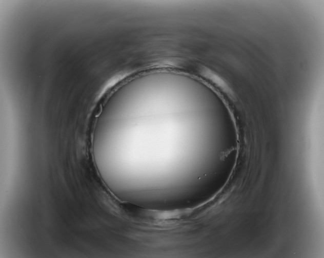 X0000086251308200704051232