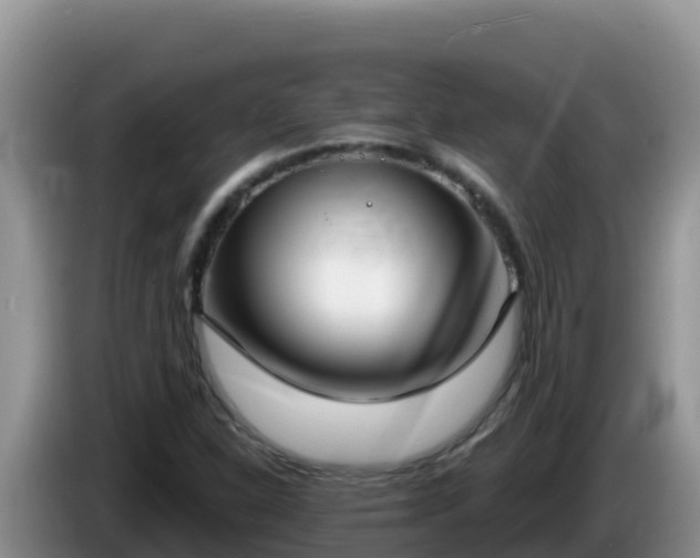 X0000086251310200704051232