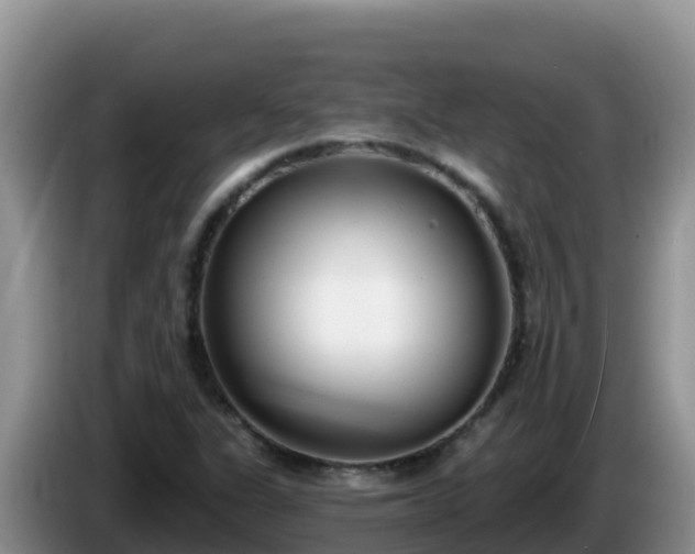 X0000086251311200704051232