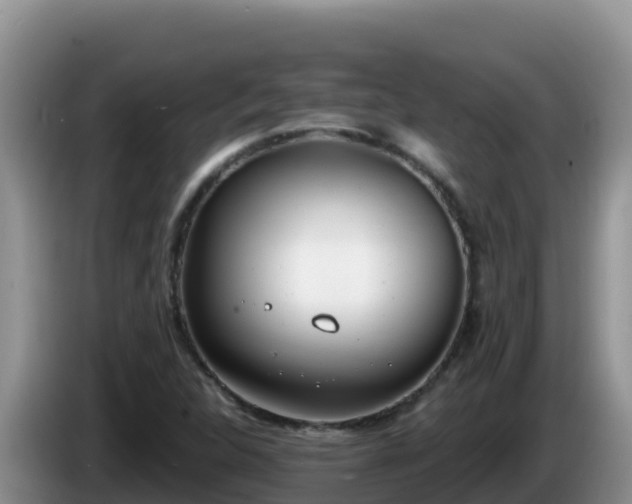X0000086251312200704051232