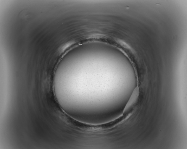 X0000086251313200704051232