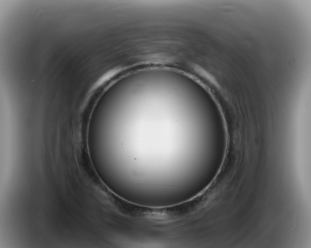 X0000086251315200704051232