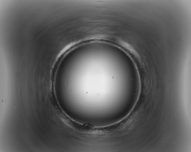X0000086251316200704051232