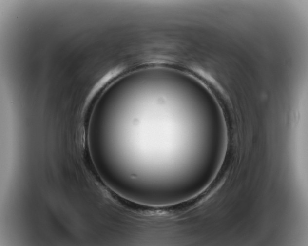 X0000086251317200704051232