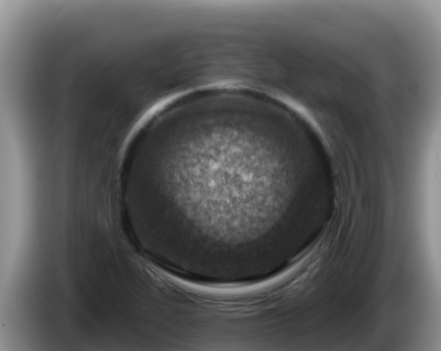 X0000086251319200704051232