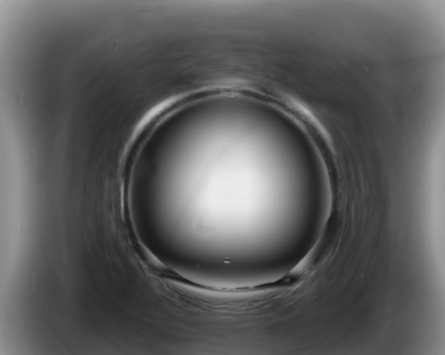 X0000086251320200704051232