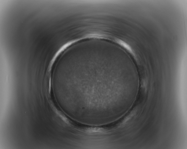 X0000086251323200704051232