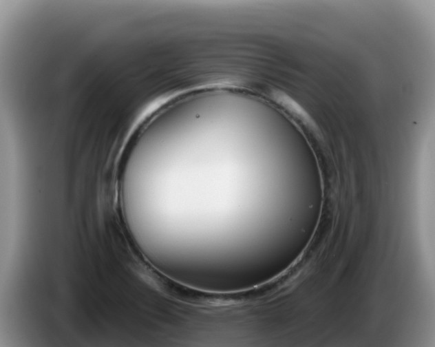 X0000086251324200704051232