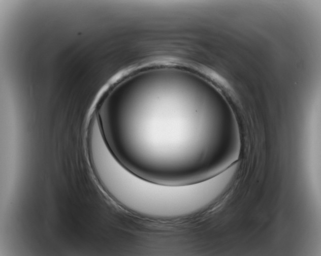 X0000086251326200704051232